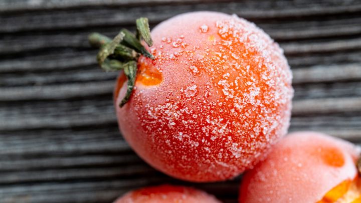 Why You Should Freeze Tomatoes Without Peeling Them First