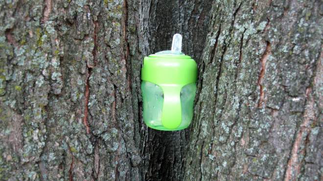This Is the Best Way to Store Sippy Cups