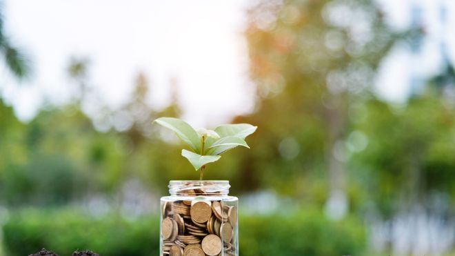6 Ways to Go Green and Save Money at the Same Time