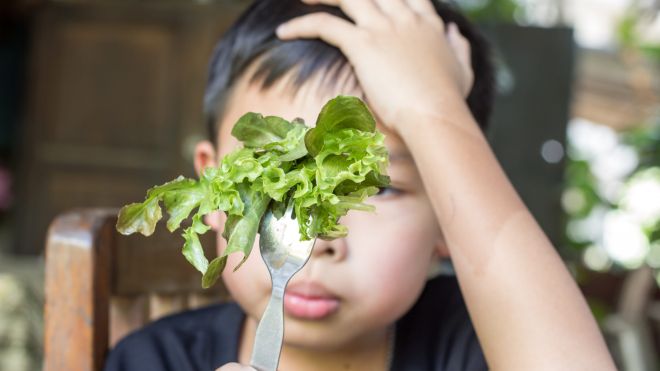 Stop Calling Kids ‘Picky Eaters’