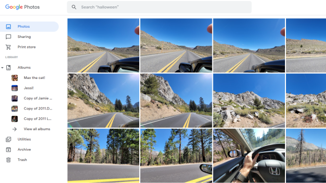 The Best Alternatives to Google Photos