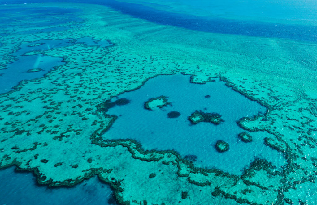 GREAT BARRIER REEF, AUSTRALIA - NOVEMBER 20: Aerial view of coral banks, reef systems and the pacific ocean on November 20, 2015 in Great Barrier Reef, Australia. (Photo by EyesWideOpen/Getty Images)