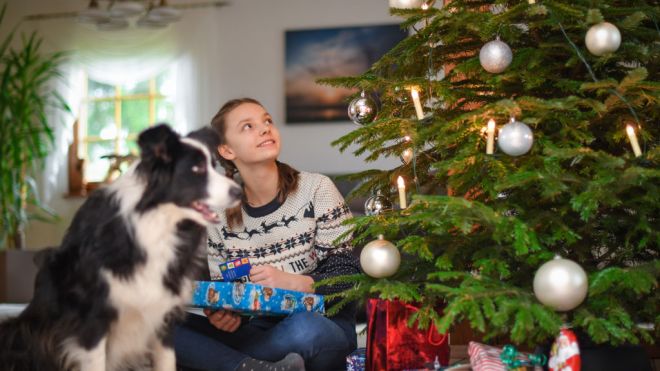 The Best Christmas Gifts for Pets and Their Owners
