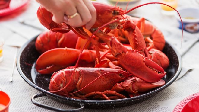 PSA: Coles Is Slinging Half-Price Lobsters for Christmas