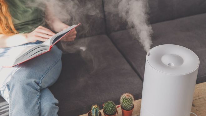 Here’s Why You Should Have a Humidifier in Your Home