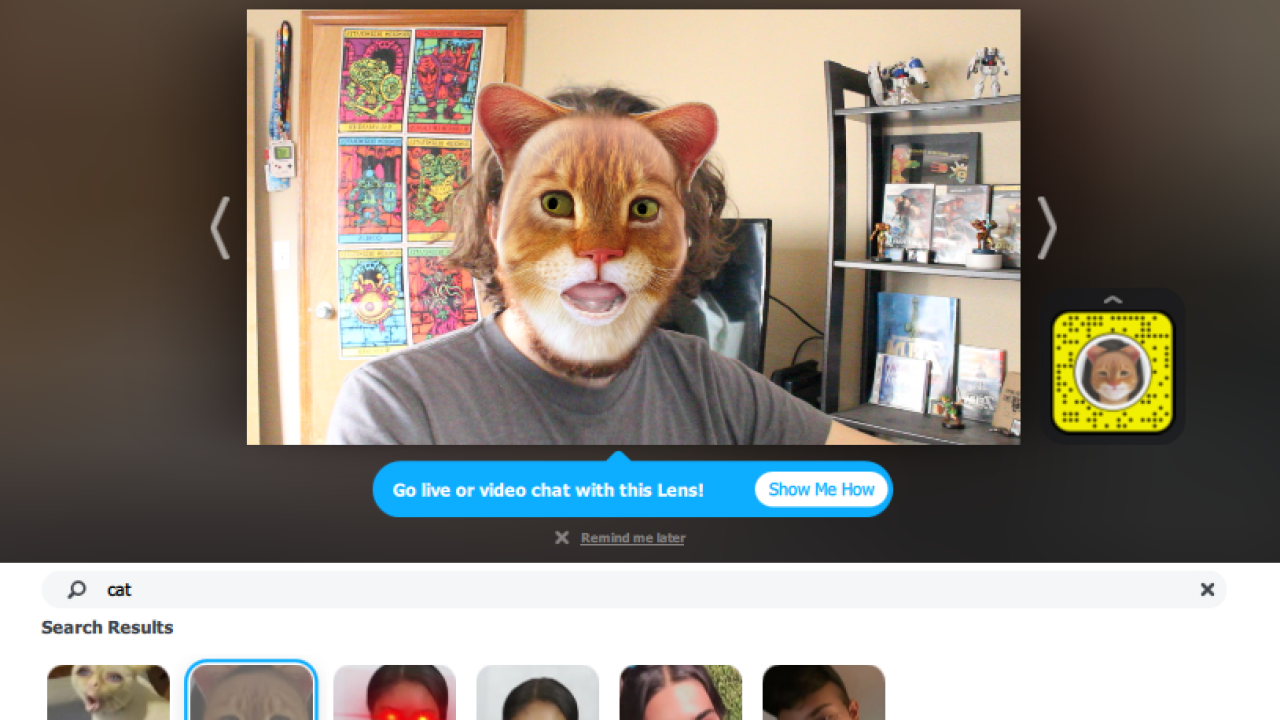 How to Turn Yourself Into a Cat (In a Video Call)