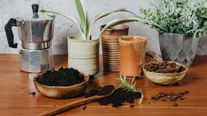 Should You Put Coffee Grounds on Your Plants?