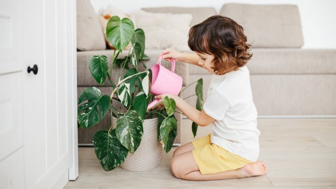 Why Your Kid Needs a Plant