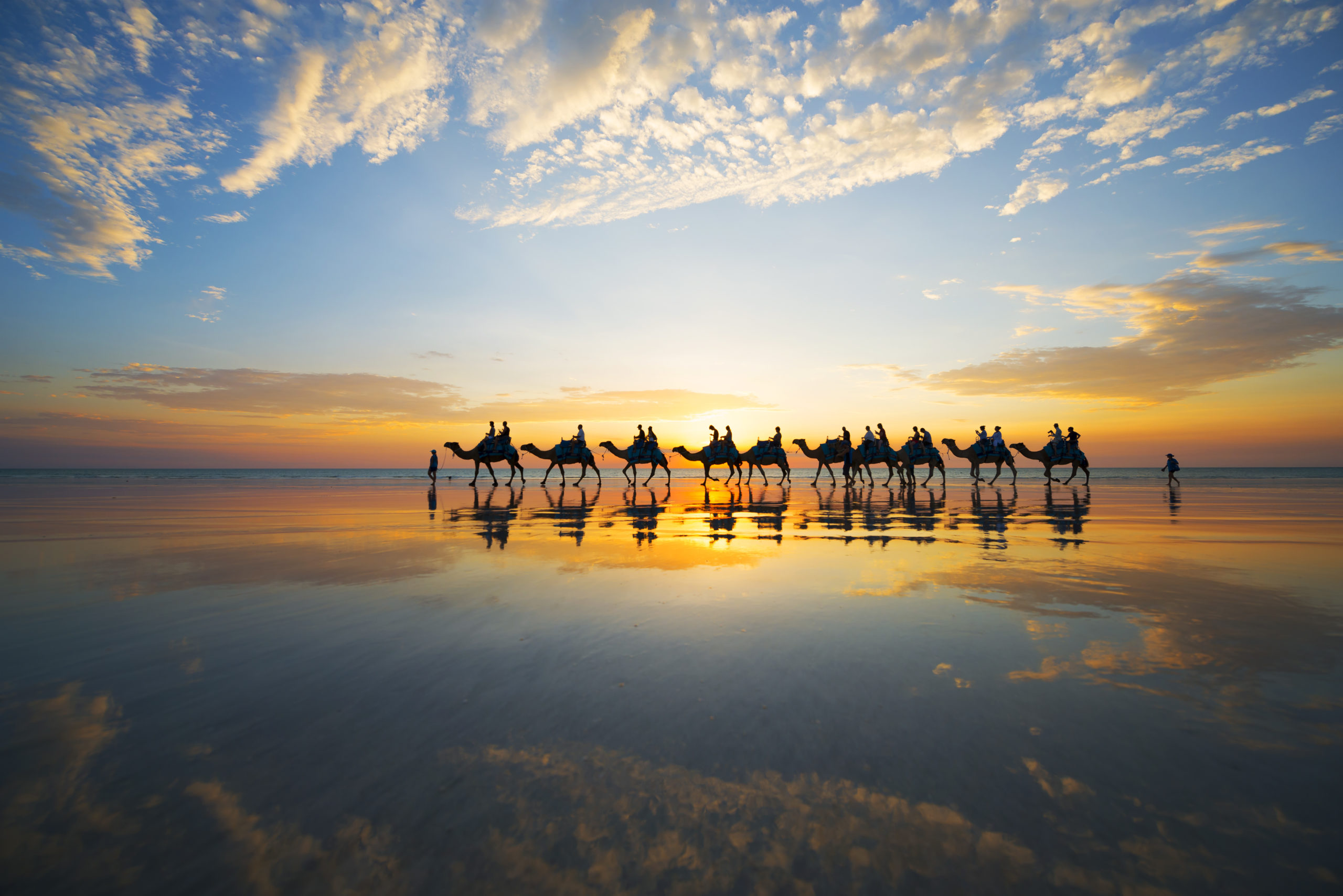 Camels at sunset on Cable Beach, Broome