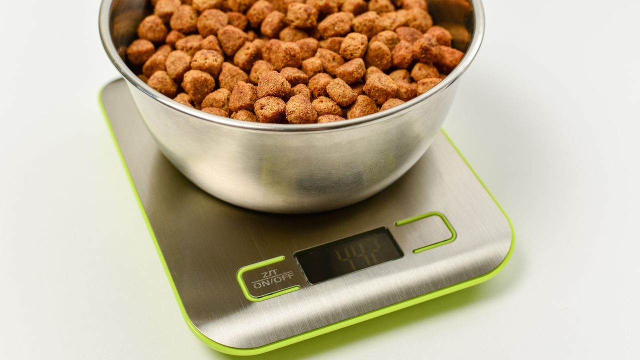 Why You Should Always Weigh Your Pet’s Food