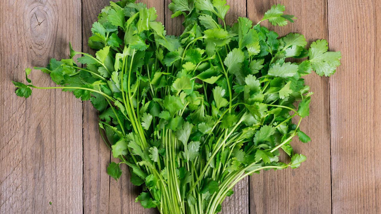 Why Do Some People Think Coriander Tastes Like Soap?