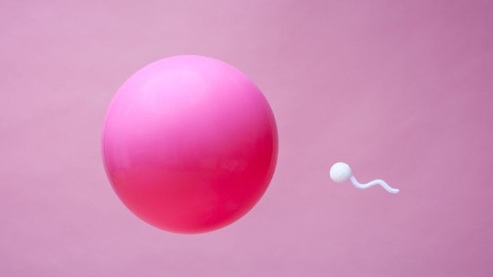 Your Grandfather Probably Had A Higher Sperm Count Than You Do