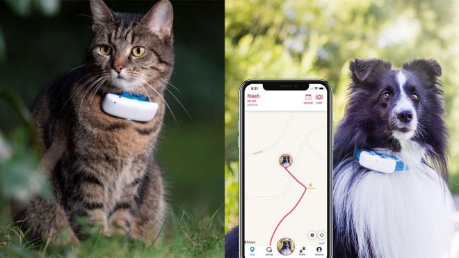 These Pet Gps Trackers Are on Sale if You’re Done Searching For Your Furry Friend