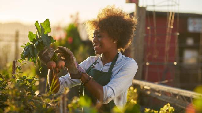 Do These Gardening Tasks Based on How Much Time You Have