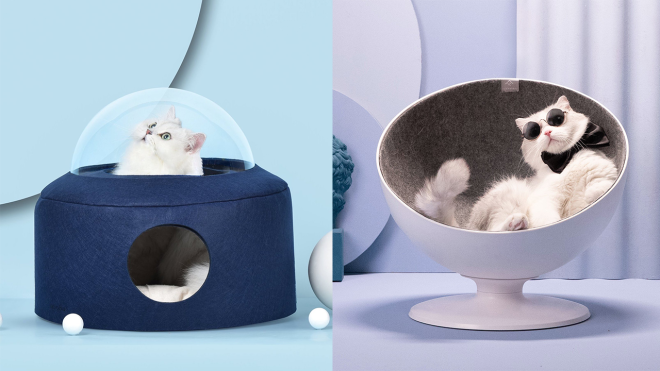 These Cat Beds Are Fit For Your Feline King or Queen