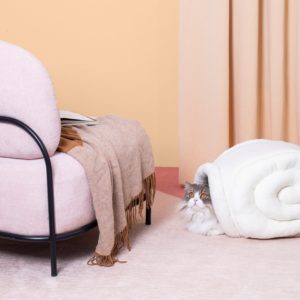 furrytail cat bed