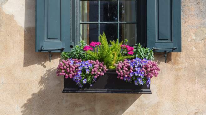 How to Plant a Window Box Garden and Keep It Alive
