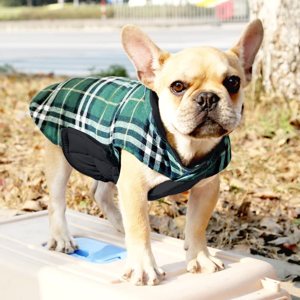6 Cosy Dog Coats That’ll Keep Your Pooch Warm and Dry Come Winter