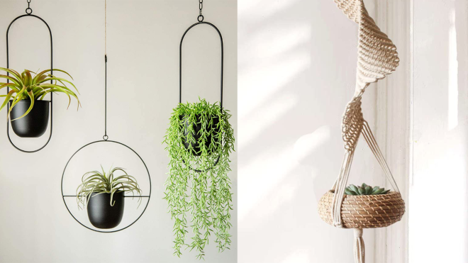 These Hanging Planters Will Free up Space and Get More Green Into Your Home