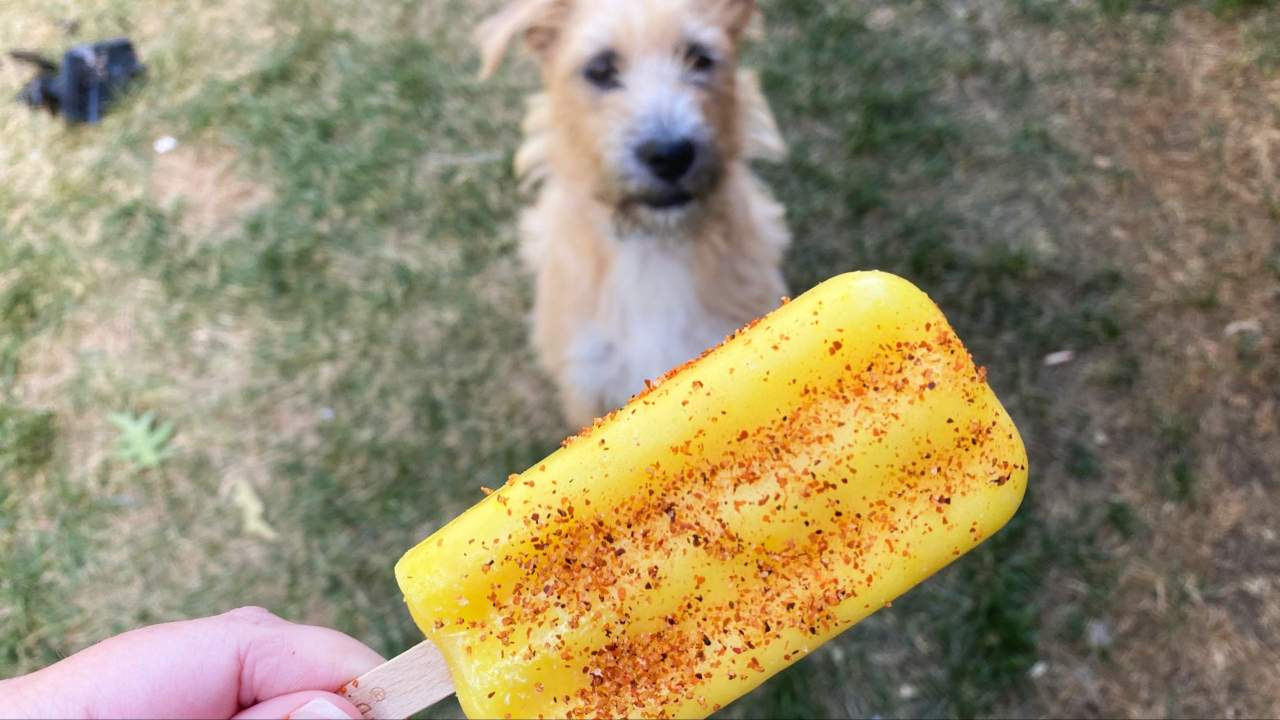 Season Your Popsicles With Chilli Salt