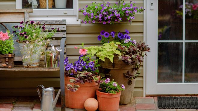 How to Pick Outdoor Plant Containers for Low-Maintenance Gardening