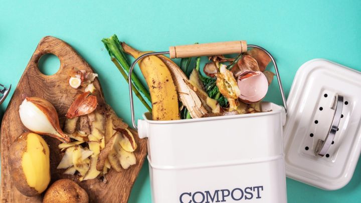 Why You Should Line Your Compost Bin With Paper Towels