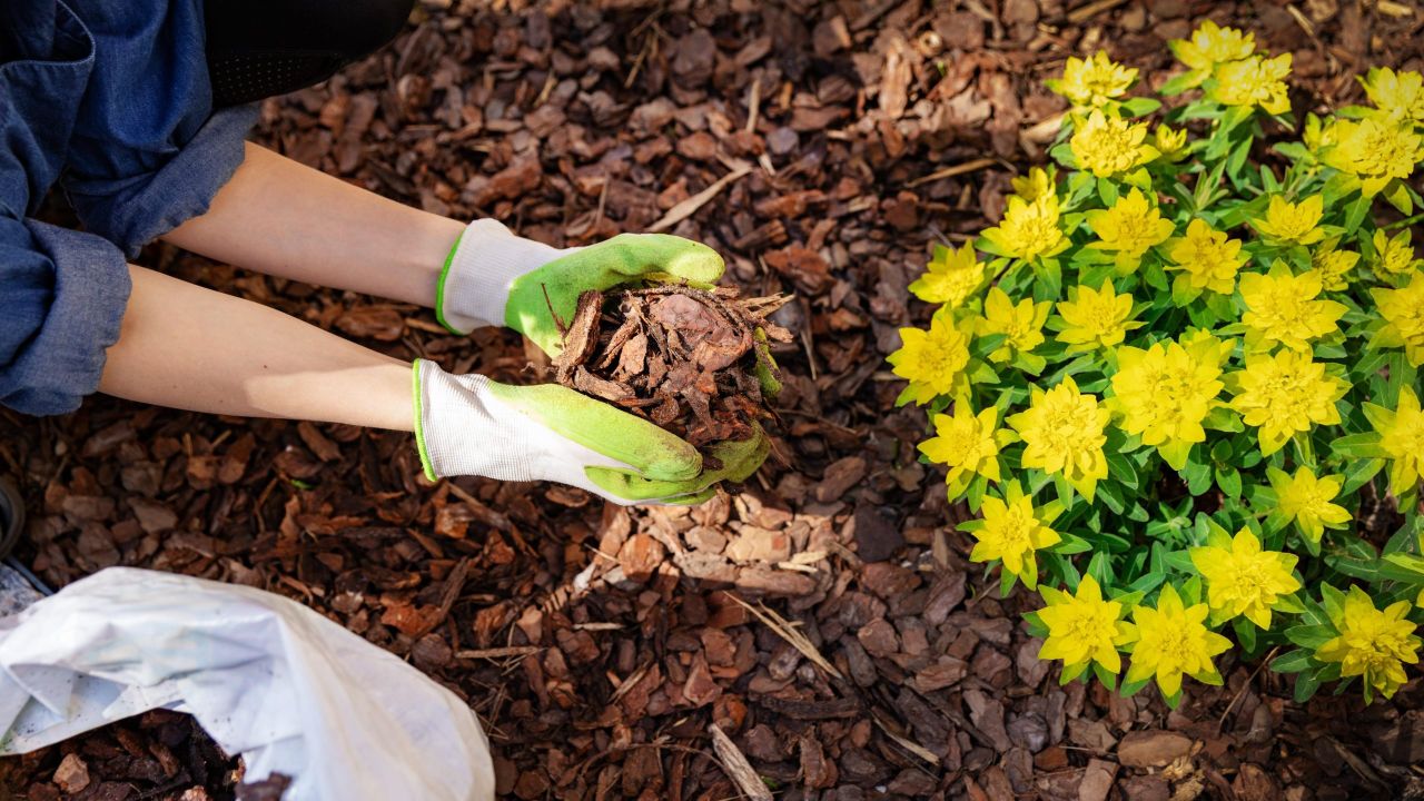 How to Use Mulch in Your Flowerbeds and Garden