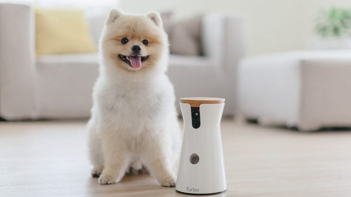 Keep an Eye on Your Fur Baby With These Pet Cameras