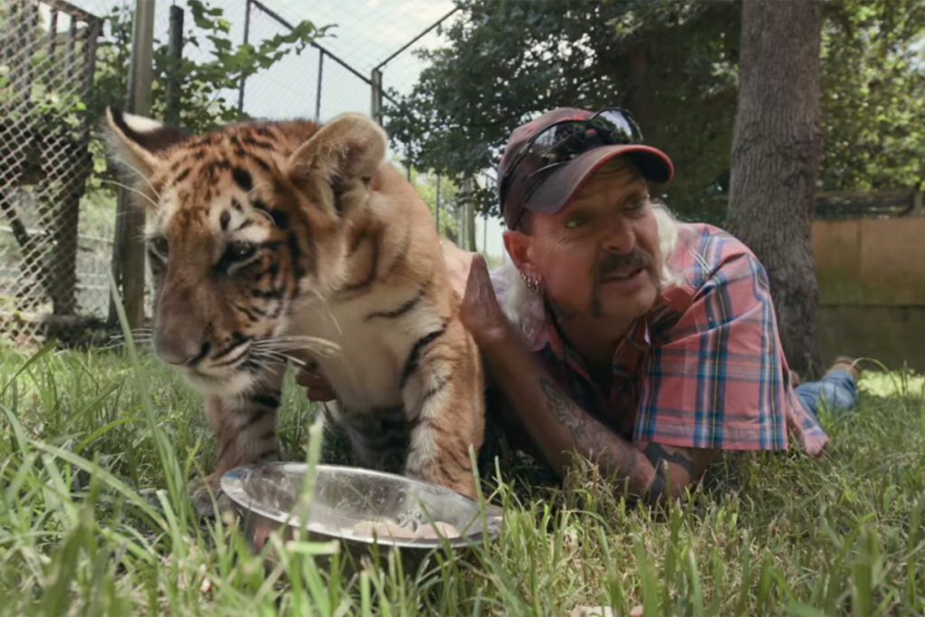tiger king documentary netflix