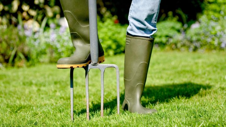 How to Aerate Your Lawn (and Why You Should)