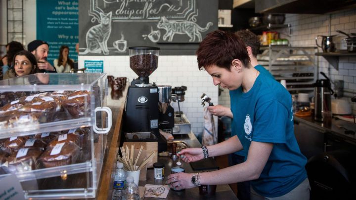 How to Not Be an Arsehole in a Coffee Shop, According to Baristas