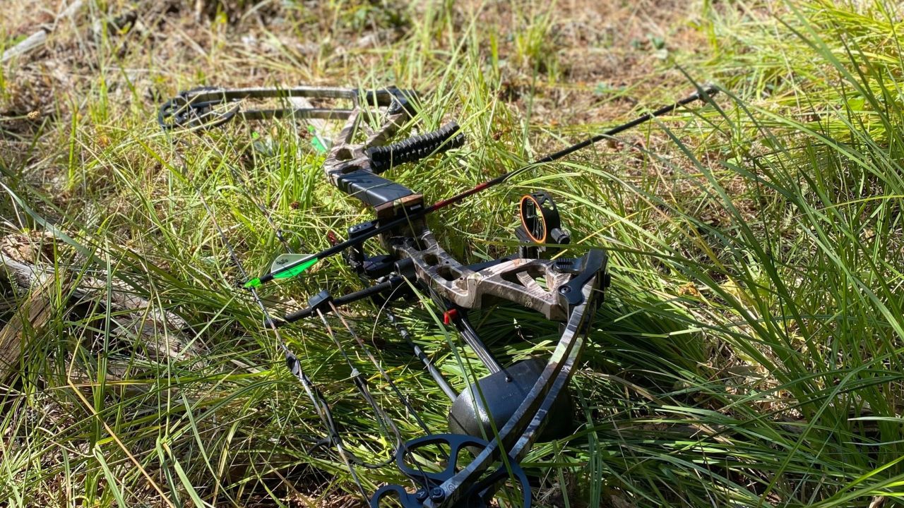 Could a Compound Bow Help Me Stick to an Exercise Routine?