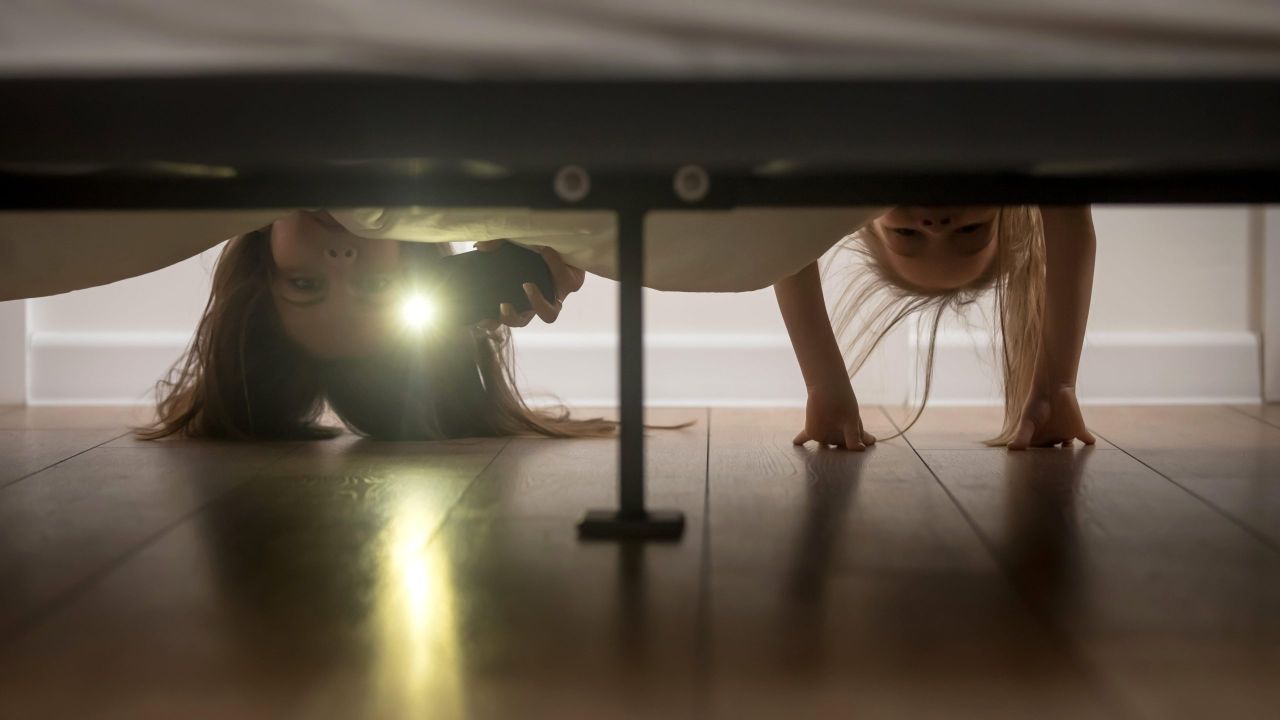 The ‘Storage Space’ Under Your Bed Is a Mess (but You Can Do Better)