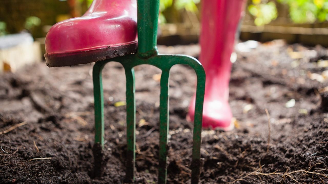Why You Probably Don’t Need to Till Your Garden This Season