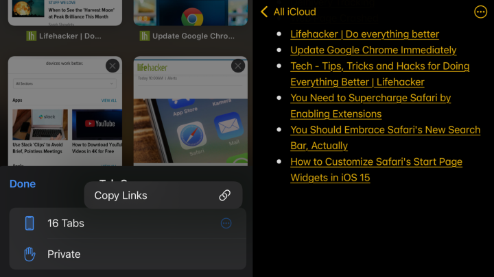 You Can Finally Share All the Links From Your Mess of Open Safari Tabs at Once