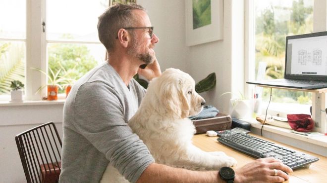 How to Make Returning to the Office Easier on Your Dog