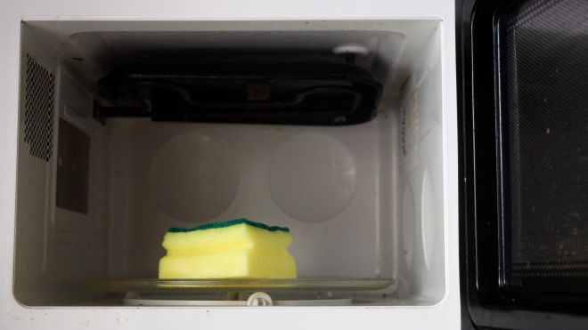 Can a Microwave Really Sanitize Your Dirty Sponges?