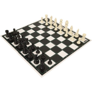 beginner chess set