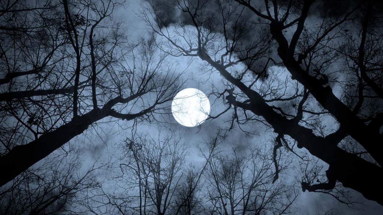 How Each Full Moon Got Its Name (and When to See Them)