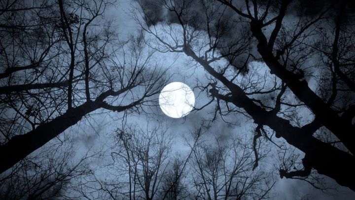 How Each Full Moon Got Its Name (and When to See Them)