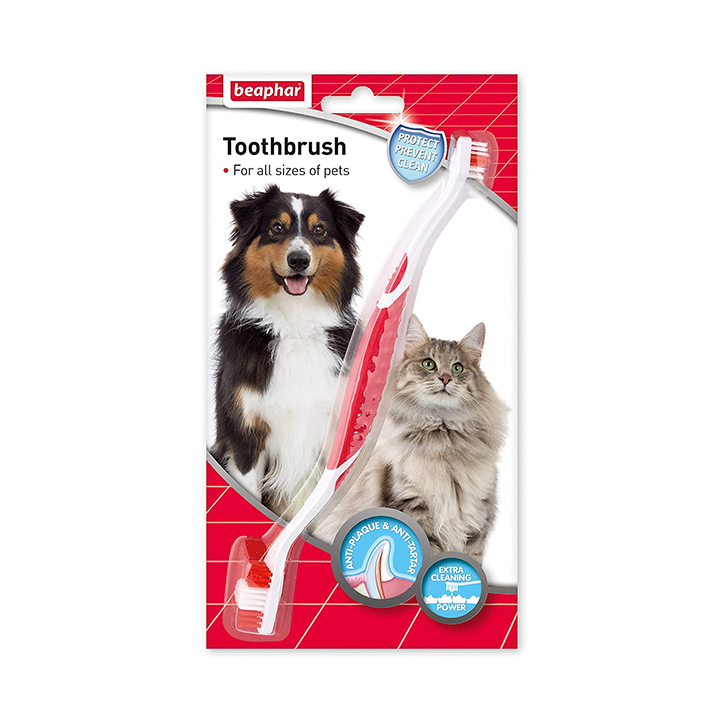 cat toothbrushes