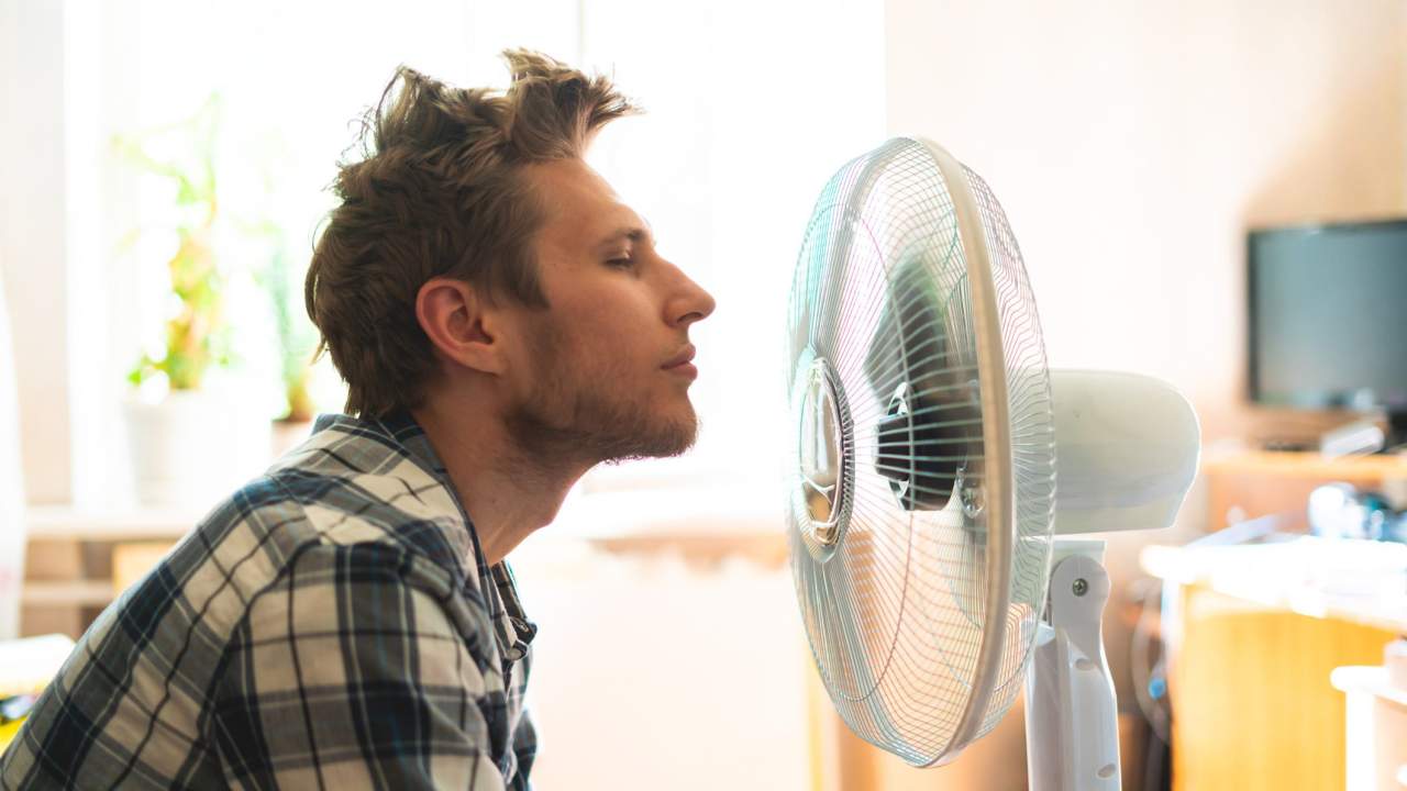 5 Fans That’ll Actually Keep You Cool at Home and on the Go