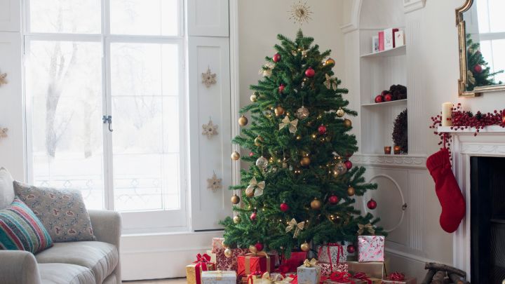 Pining For A New Christmas Tree? We’ve Got You Covered