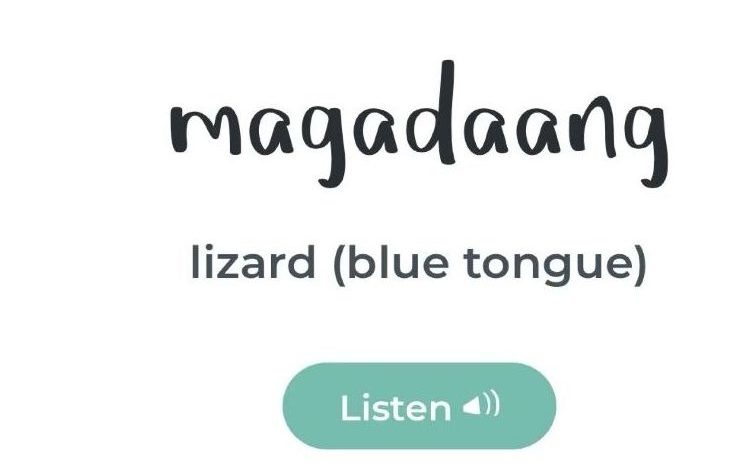 4 Apps to Learn a New Language With, From Dharawal to Mandarin
