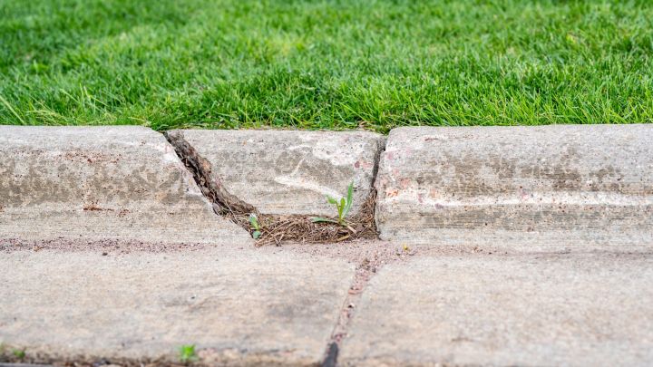 How to Repair Your Crumbling Footpath Curb