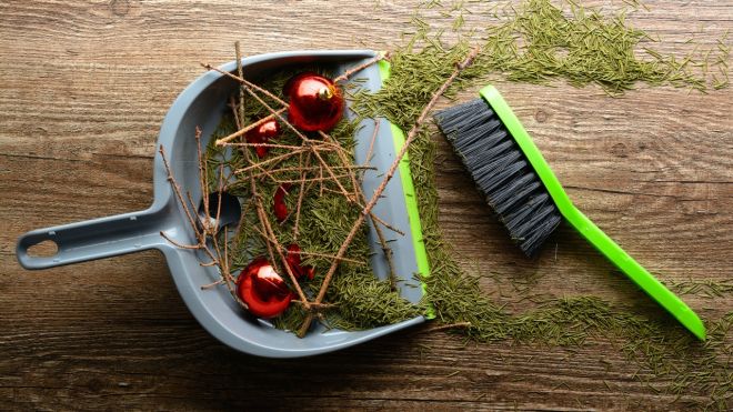 Ask LH: Can You Vacuum Pine Needles From Your Christmas Tree?
