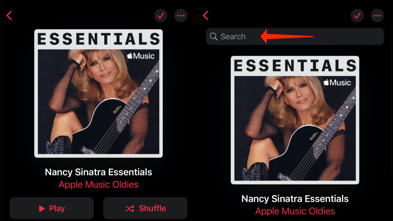 You Can Finally Search Within a Playlist in Apple Music