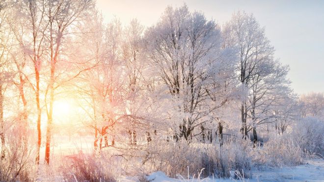 How to Take Winter Photos That Aren’t White and Blurry (Unless That’s the Point)