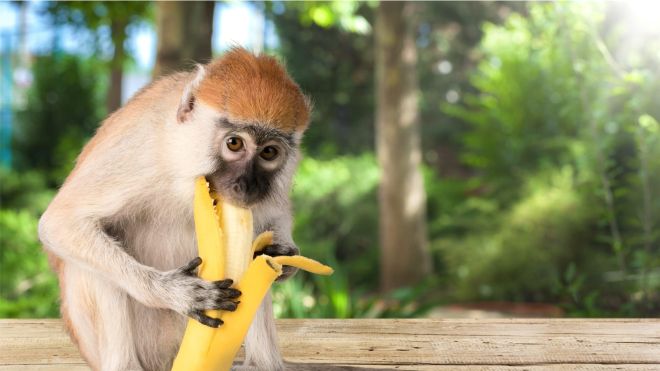 Have You Been Eating Bananas Wrong This Whole Time?