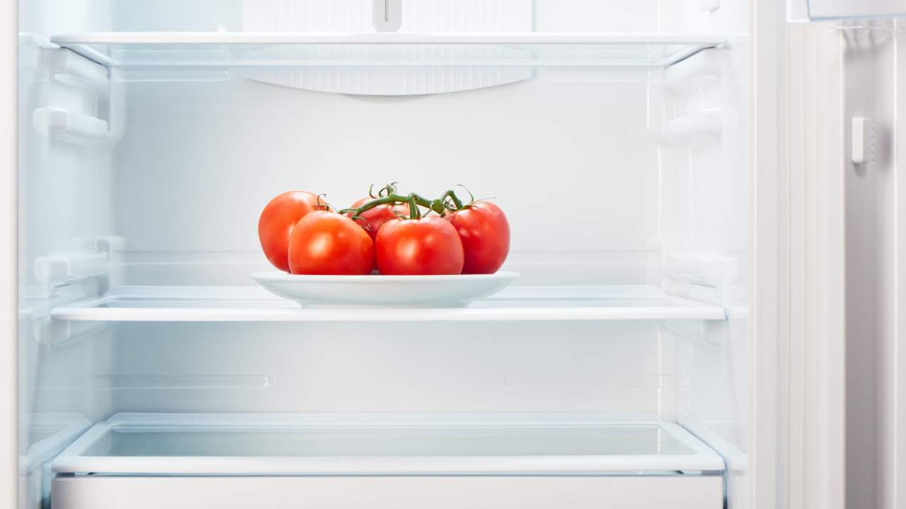 I Will Never Put Tomatoes in the Fridge